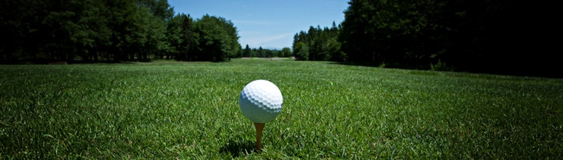 Golf Ball [New Brunswick Tourism [CC BY 2.0 (https://creativecommons.org/licenses/by/2.0)], via Wikimedia Commons]