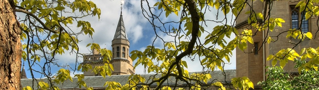 A view of College from the Fellows' Garden