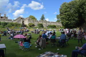 Garden Party and BBQ