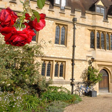 View of side of St Cross College with flower in foreground