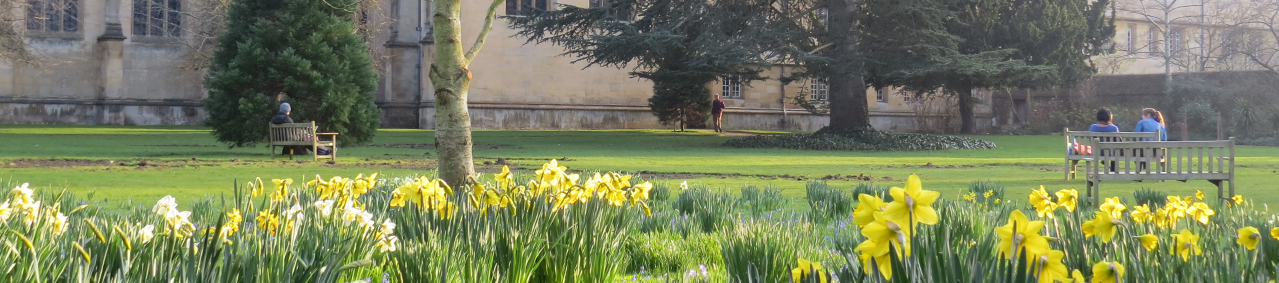 Wadham Gardens with daffodils in foreground